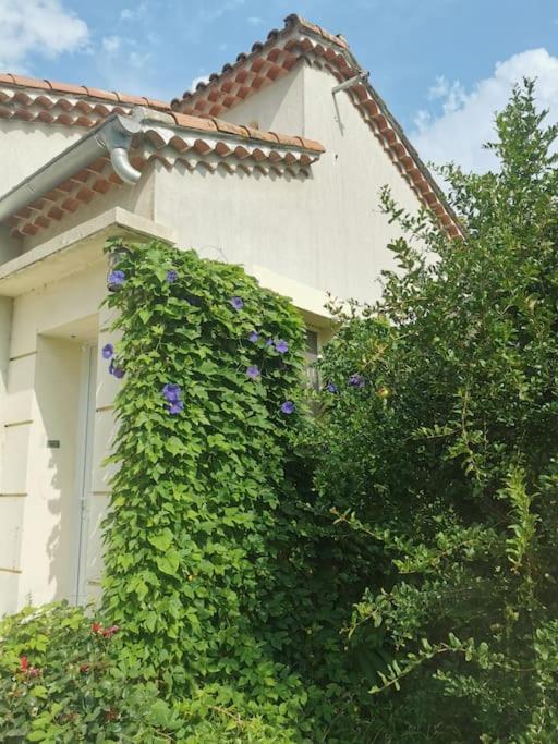 Maison Avec Piscine Dans Village Provencal. Courthézon Exterior foto